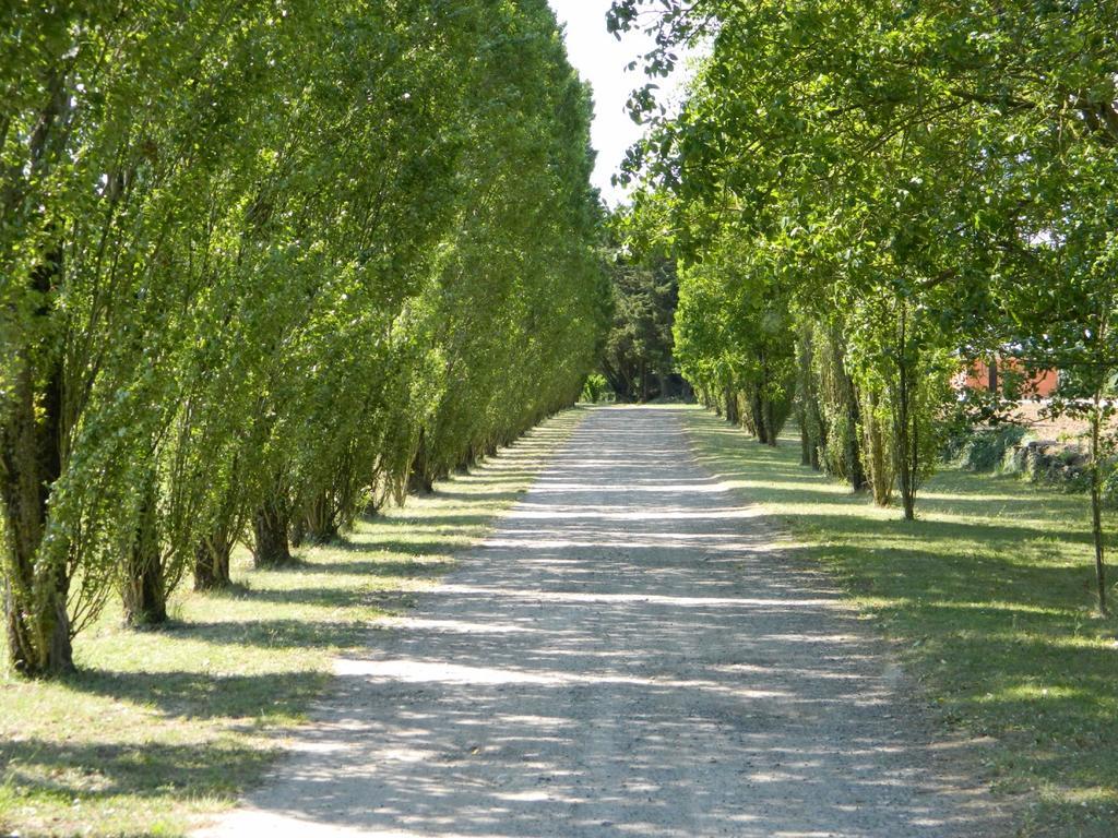 Gite De Cray Lussault-sur-Loire Buitenkant foto